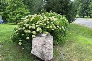 N8795 Bridge Dr, Sheldon, WI 54766 - Photo 5