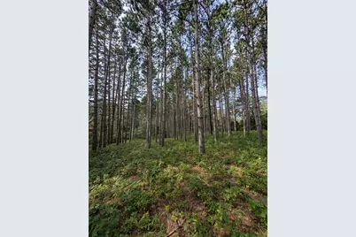 Xxxx Joplin Street NW, Elk River, MN 55330 - Photo 5