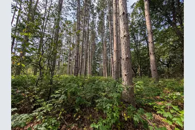 Xxxx Joplin Street NW, Elk River, MN 55330 - Photo 25