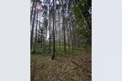 Xxxx 217 Avenue NW, Elk River, MN 55330 - Photo 19