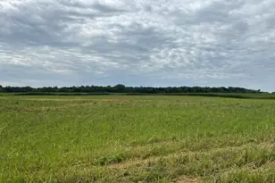 Xxxx County Rd 30 SW Tract A, Montrose, MN 55363 - Photo 1