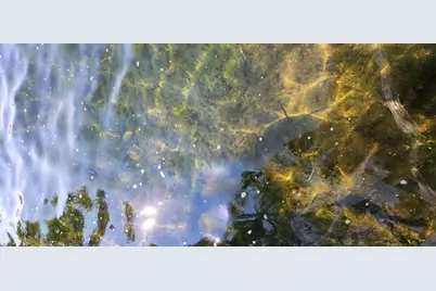 3608 Tolena Road NE, Alexandria, MN 56308 - Photo 23