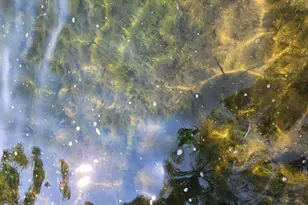 3608 Tolena Rd NE, Alexandria, MN 56308 - Photo 23