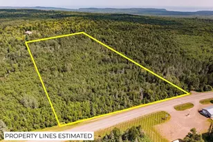 Tbd Hwy 2, Silver Creek Township, MN 55616 - Photo 1