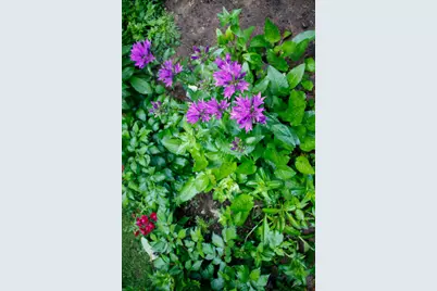 39437 County Road 3, Crosslake, MN 56442 - Photo 55