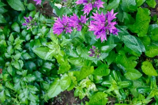 39437 Co Rd 3, Crosslake, MN 56442 - Photo 55