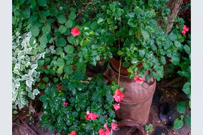 39437 County Road 3, Crosslake, MN 56442 - Photo 41