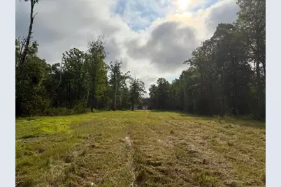 45021 County 3, Becida, MN 56678 - Photo 49