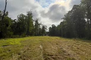 45021 County 3, Becida, MN 56678 - Photo 49