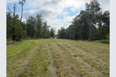 45021 County 3, Becida, MN 56678 - Photo 45