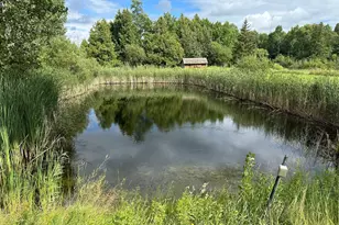 66942 Judees Rd NW, Grygla, MN 56727 - Photo 41