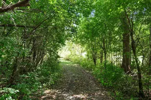 2894 115th Ave, Greenbush, MN 55371 - Photo 55