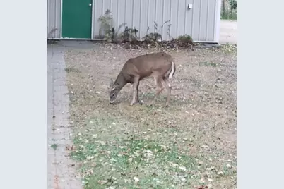 2894 115th Avenue, Princeton, MN 55371 - Photo 69