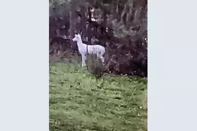 2894 115th Avenue, Princeton, MN 55371 - Photo 67