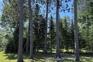 2964 Chaps Rd, Cook, MN 55723 - Photo 29