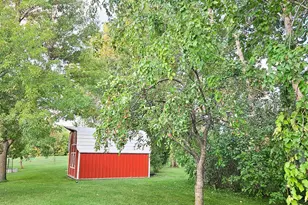 432 E 2nd St, Argyle, MN 56713 - Photo 51