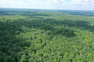 Tbd 279th Ave, Laporte, MN 56461 - Photo 1