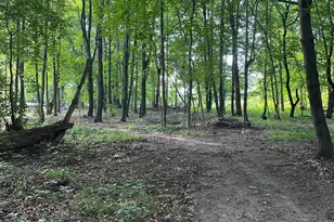 23040 Packard St NE, East Bethel, MN 55005 - Photo 27