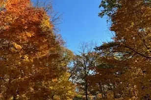 51Xx Waterbury Rd, Mound, MN 55364 - Photo 43