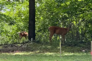 51Xx Waterbury Rd, Mound, MN 55364 - Photo 39