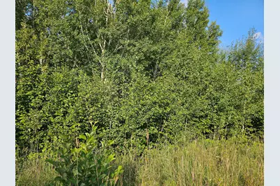 Track A Hwy 87, Backus, MN 56435 - Photo 5