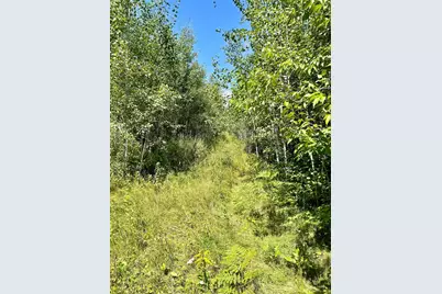 Tbd US Hwy 2, Bagley, MN 56621 - Photo 91