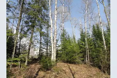 6047 Voyageurs Trail, Biwabik, MN 55708 - Photo 1