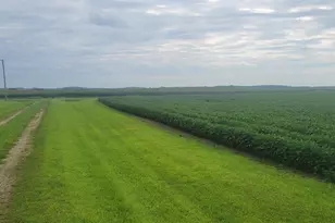 35755 200th St, Battle Lake, MN 56515 - Photo 21