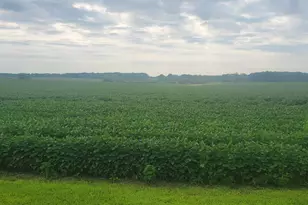 35755 200th St, Battle Lake, MN 56515 - Photo 9