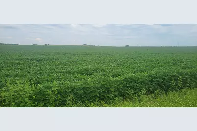 35755 200th Street, Battle Lake, MN 56515 - Photo 5