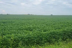 35755 200th St, Battle Lake, MN 56515 - Photo 5