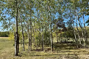 13737 109th Ave, Park Rapids, MN 56470 - Photo 39