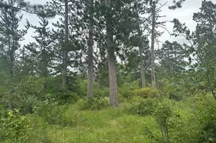 Tbd Memorial Ln NW, Bemidji, MN 56601 - Photo 1