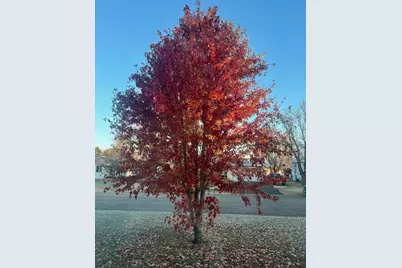 814 5 1/2 Street N, Cold Spring, MN 56320 - Photo 27