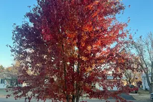 814 5 1/2 Street N, Cold Spring, MN 56320 - Photo 27