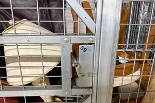 12501 Nicollet Ave, Burnsville, MN 55337 - Photo 33