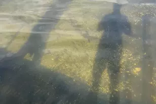 6235 N Shore Dr, Rockford, MN 55373 - Photo 61