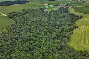 26085 Frank Hill Rd, Winona, MN 55987 - Photo 65