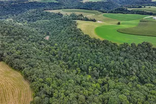 26085 Frank Hill Rd, Winona, MN 55987 - Photo 67