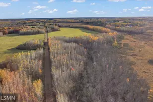 29224 Hawks Nest Ln, Hinckley, MN 55037 - Photo 33