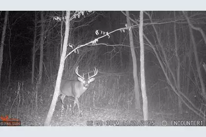 29224 Hawks Nest Lane, Hinckley, MN 55037 - Photo 37