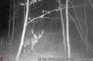 29224 Hawks Nest Ln, Hinckley, MN 55037 - Photo 37