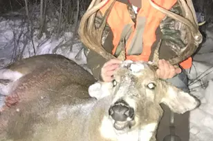 17195 350th St, Wannaska, MN 56761 - Photo 21