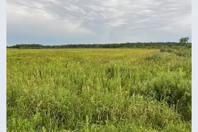 23Xxx Olympic Street, Whited Twp, MN 55007 - Photo 5