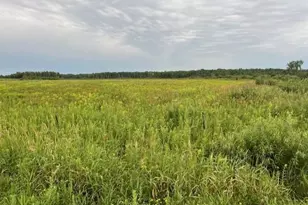 23Xxx Olympic St, Whited Twp, MN 55007 - Photo 5