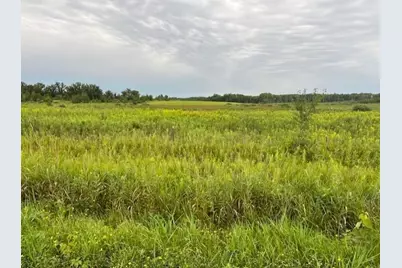 Tbd Olympic Street, Whited Twp, MN 55007 - Photo 1