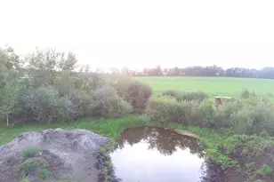 18398 360th St, Eagle Valley Twp, MN 56446 - Photo 9