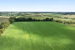 18398 360th St, Eagle Valley Twp, MN 56446 - Photo 51