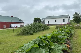 18398 360th St, Eagle Valley Twp, MN 56446 - Photo 19
