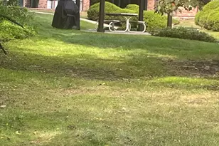 10113 W 34th St, Hopkins, MN 55305 - Photo 21